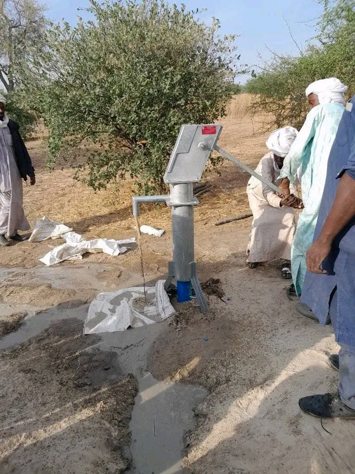 Pompe a double corps